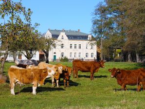 Ferienwohnung Spree Chalet - Lübbenau - image1