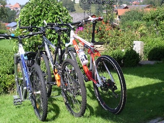 Mountainbikes zum Ausleihen