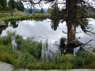 Appartamento per vacanze St. Stefan im Gailtal Ambiente 29