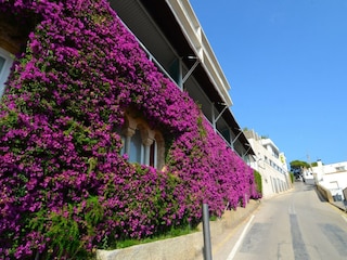 Apartamento L'Estartit Grabación al aire libre 10