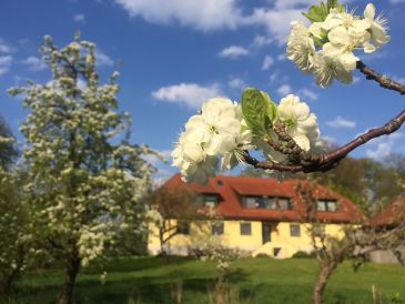 Ferienwohnung Müritz im Naturferienhaus Mecklenburg