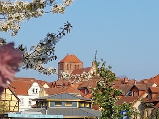 Blick auf die Marienkirche