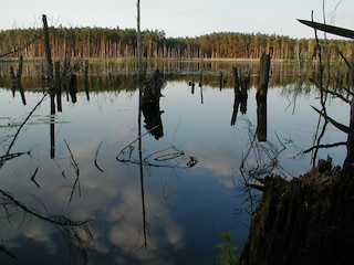unberührte Natur genießen