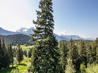 Appartement Chamrousse Buitenaudio-opname 5