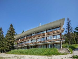 Terrace Apartment in Chamrousse
