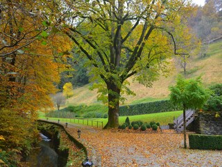 Vakantiehuis Vresse-sur-Semois Buitenaudio-opname 5