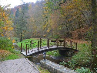 Vakantiehuis Vresse-sur-Semois Omgeving 31