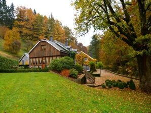 Ferienhaus Komfortable Mühle in Vresse-sur-Semois mit Hallenbad - Vresse-sur-Semois - image1