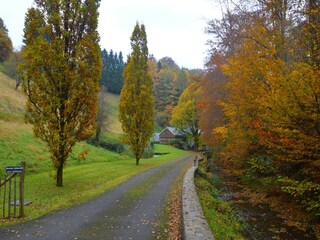 Ferienhaus Vresse-sur-Semois Außenaufnahme 11