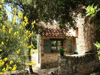 Apartment Saint-Antonin-du-Var  19
