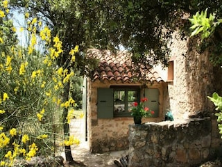 Appartement Saint-Antonin-du-Var  30