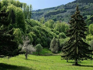 Apartamento Saulxures  11