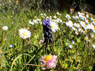 Appartement Saint-Antonin-du-Var  16