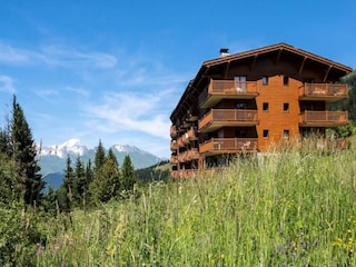 Apartment Vallandry  11