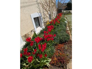 Frühling