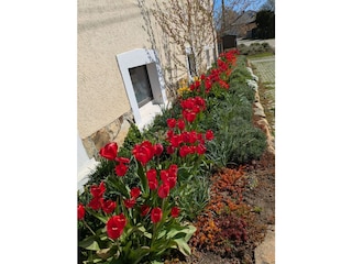 Holiday apartment Limbach-Oberfrohna Outdoor Recording 3