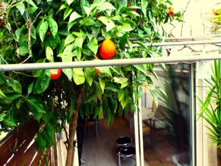 Apartment Six-Fours-les-Plages  22