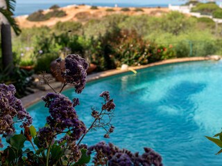 Villa Ferragudo Registrazione all'aperto 14