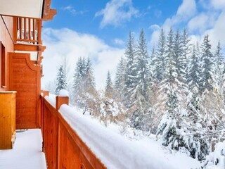 Appartement Vallandry  31