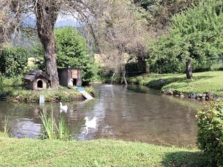 Appartamento per vacanze Nötsch Ambiente 18