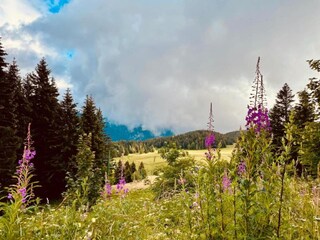Appartement Chamrousse Environnement 25