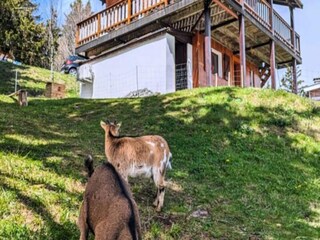 Appartement Le Revard  25