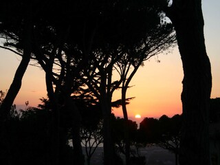 Appartamento per vacanze Livorno Ambiente 22