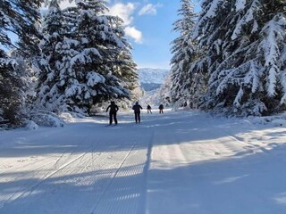 Apartamento Orcières Entorno 22