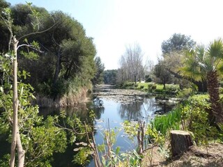 Appartement Six-Fours-les-Plages Buitenaudio-opname 6