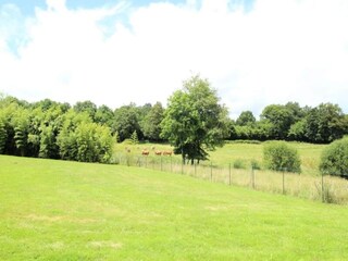 Appartement Cussac  6