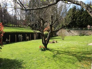 Appartement Cussac  10