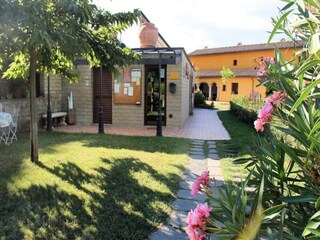 Apartment Capraia e Limite  14