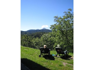 Appartamento per vacanze Deutschnofen Registrazione all'aperto 3