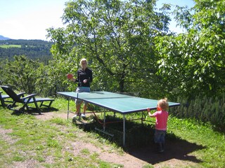 Appartamento per vacanze Deutschnofen Registrazione all'aperto 5