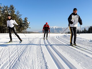 Appartamento per vacanze Deutschnofen Ambiente 24