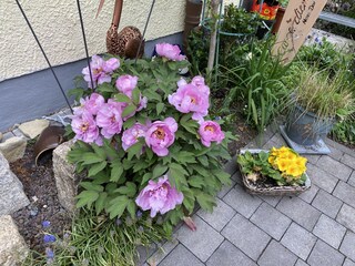 Appartamento per vacanze Bad Langensalza Registrazione all'aperto 9