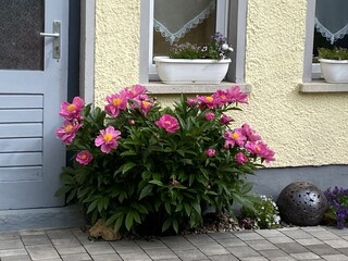 Appartamento per vacanze Bad Langensalza Registrazione all'aperto 10