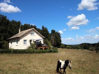 Apartment Cussac  8