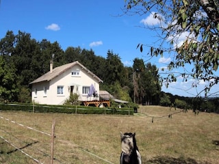 Apartment Cussac  9