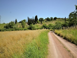 Ferienhaus Radicondoli Umgebung 34