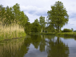 Abendstimmung im Spreewald