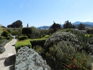 Appartement Le Lavandou  18