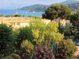 Appartement Le Lavandou  11