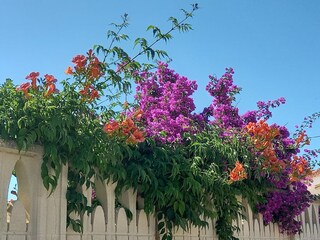 Appartamento San Pietro in Bevagna Ambiente 35