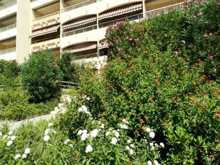 Apartamento Le Lavandou  4