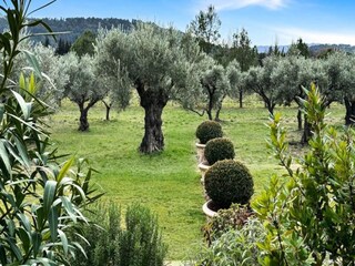 Apartamento Lourmarin  12