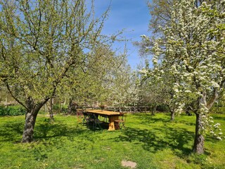 Apartamento Fährdorf auf Poel Grabación al aire libre 6