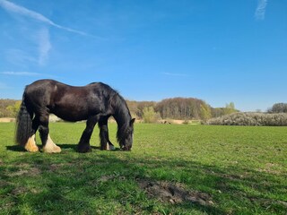 Apartamento Fährdorf auf Poel Grabación al aire libre 13