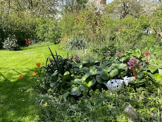 Appartement Fährdorf auf Poel Buitenaudio-opname 13