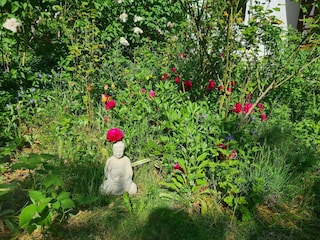 Apartment Fährdorf auf Poel Outdoor Recording 6